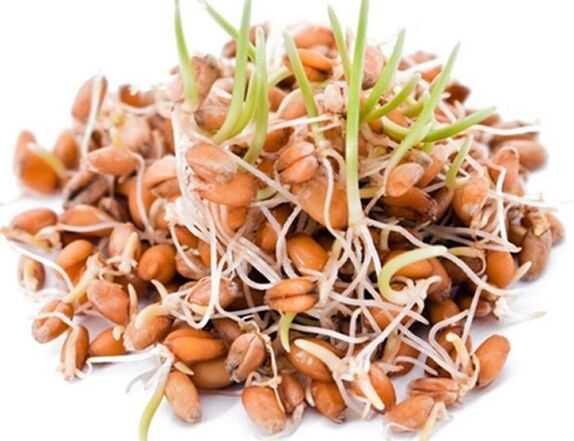 Clean Forte contiene granos germinados de trigo, avena y maíz