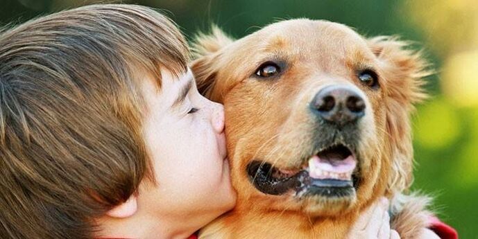 Niño besa a perro y se infecta de parásitos